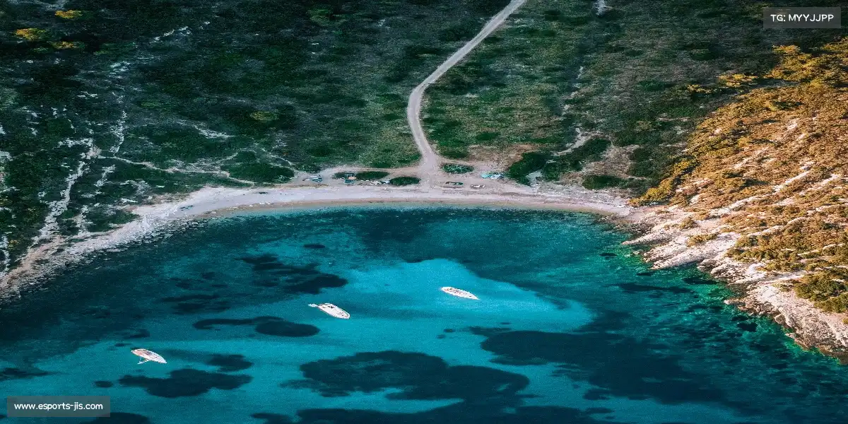 极速电竞官网——🥋🐉 太极推手，游龙卸劲！